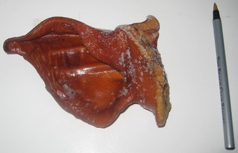 Bacon Ears